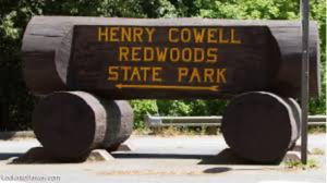 Henry Cowell 2